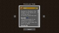 Shulk origin (Image via Minecraft)
